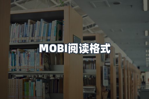 EPUB电子书